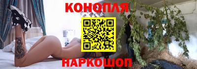метадон Новозыбков
