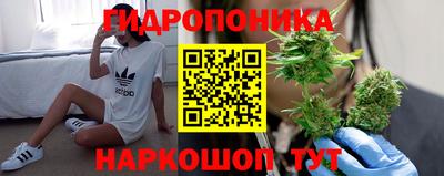метадон Новозыбков