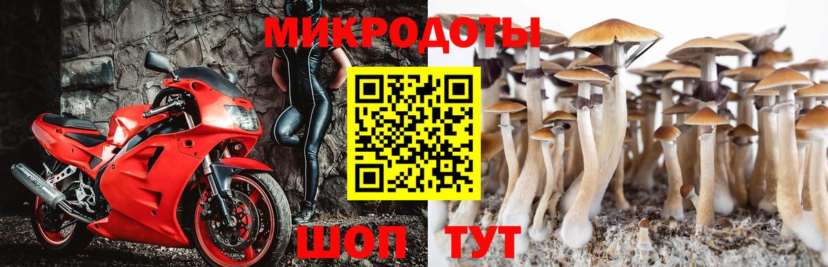 где купить   Вход с VPN  Псилоцибиновые грибы Psilocybine cubensis  Партизанск  Псилоцибиновые грибы прущие грибы 