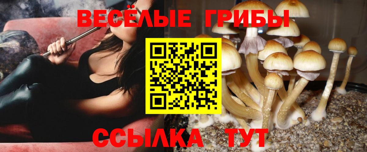 Галлюциногенные грибы MAGIC MUSHROOMS Партизанск